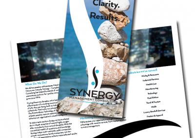 Synergy brochure